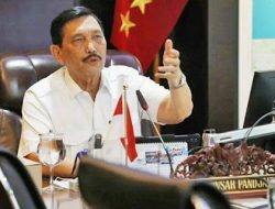Luhut Pandjaitan Bukan Tipe Anak Buah