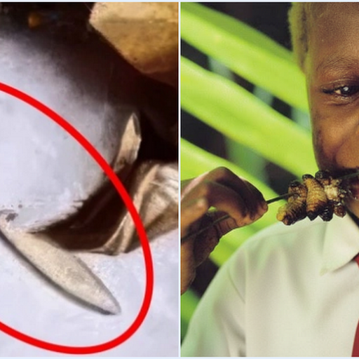 Ulat di Menu MBG Diklaim Tinggi Protein dan Bisa Dikonsumsi, Ini Kata Peneliti