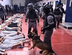 Bukan Hanya Disiksa, Aparat Israel Perkosa Tahanan Palestina Pakai Anjing