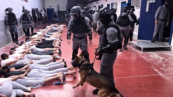 Bukan Hanya Disiksa, Aparat Israel Perkosa Tahanan Palestina Pakai Anjing