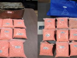 Kurir Pembawa 200 Ribu Ekstasi yang Kabur Setelah Kecelakaan di Tol Lampung Berhasil Diciduk