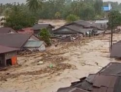 Banjir dan Longsor Hantam Sumut: 17 Orang Meninggal, 58 Luka-luka