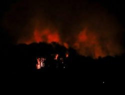 Minyak Jelantah Pertamina: Solusi Indonesia Tekan Impor Solar & Wujudkan Ketahanan Energi