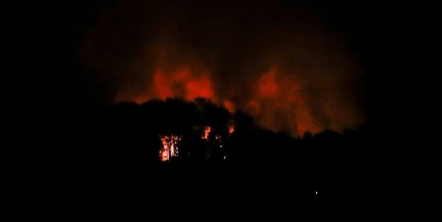 Minyak Jelantah Pertamina: Solusi Indonesia Tekan Impor Solar & Wujudkan Ketahanan Energi