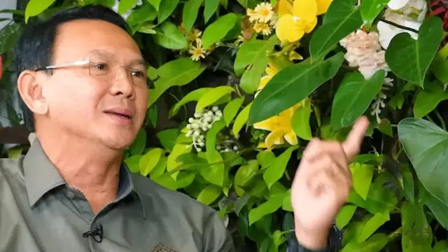 Ahok Kritik Keras Wacana Pilkada DPRD: Sistem untuk Curang dan Rampas Hak Rakyat