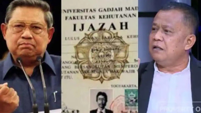 Agri Fanani Dilaporkan Demokrat: Profil, Kasus SBY, dan Fakta Kontroversi