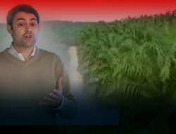 Korupsi Tambang dan Sawit Rugikan Negara Rp186,48 Triliun, Menteri Keuangan Akan Gunakan AI