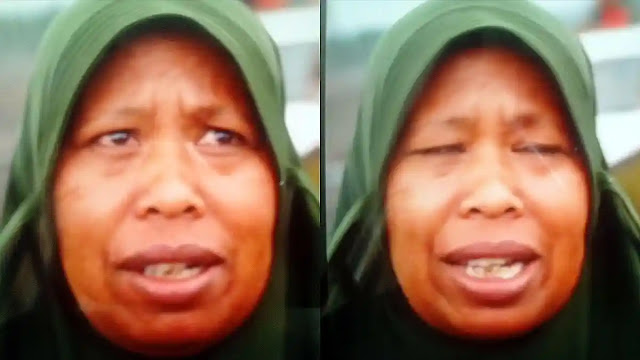 Gimah Viral Minta Semeru Dipindah: Kisah Trauma & Mitigasi Erupsi di Lumajang