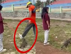 Pria Tendang Kucing Sampai Mati di Blora Viral, Pelaku Pensiunan Lawyer Diburu Polda Jateng