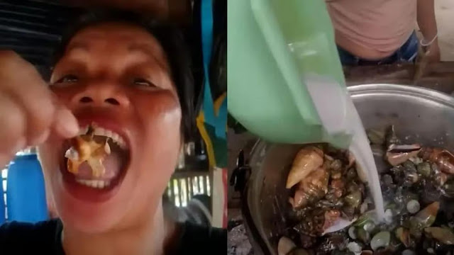 Influencer Kuliner Tewas Usai Makan Kepiting Setan: Fakta & Bahaya Neurotoksin