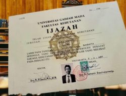 Analisis Terkini Kasus Ijazah Jokowi: Fakta Hukum, Pernyataan UGM, & Dampak Citizen Lawsuit