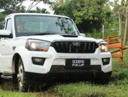 Impor 105.000 Pikap India vs Kapasitas Nasional 400.000 Unit: Polemik dan Analisis